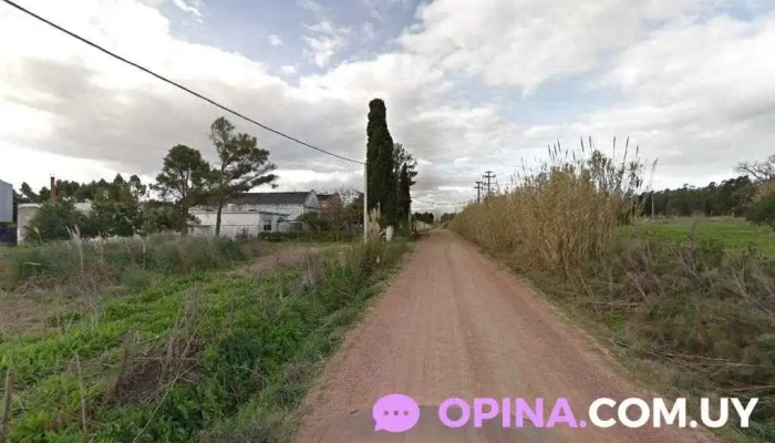 daniel del mate-granja - Montevideo