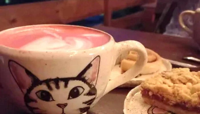 Dante Caffe Comentario 6 - Ciudad de la Costa