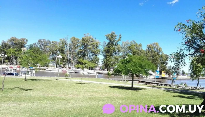 Darsena Higueritas - Nueva Palmira