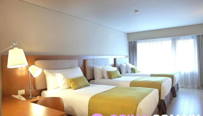 Dazzler By Wyndham Montevideo -  Habitaciones - Montevideo