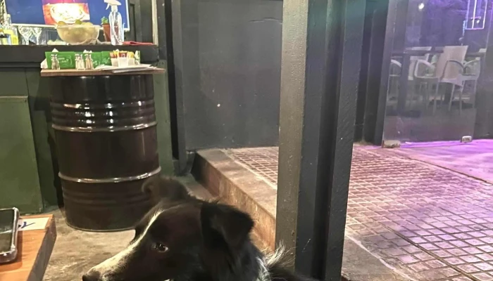 De Copas Bar -  Comentario 2 - Atlántida