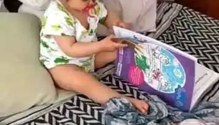 De Luca -  Minutas Y Empanadas Videos - Montevideo