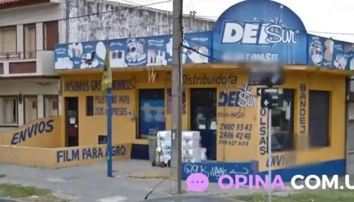 Delsur Zona - Montevideo