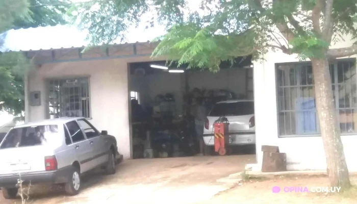 Delta -  Car Repuestos Y Electricidad Todo - Vichadero