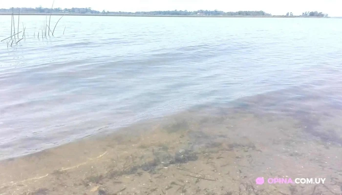 Delta Del Tigre -  Videos - Ciudad del Plata