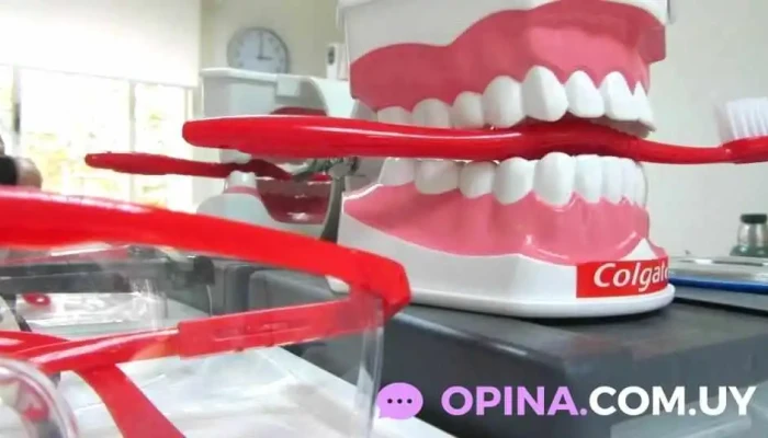 Dental Spa -    Clinica Odontologica Diente - Montevideo