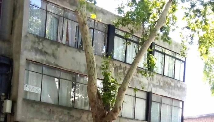 Dentalessence -  Cerca De Mi - Montevideo