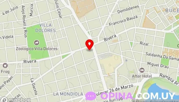 mapa de Depilación Laser Definitiva y Estética | Clínica Jamelia Centro de depilación láser, Esteticista, Esteticista facial, Centro médico, Clínica dermatológica, Clínica del sueño en Montevideo