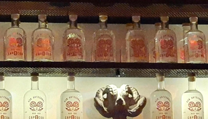 Destileria Capicua Comentario 11 - Montevideo