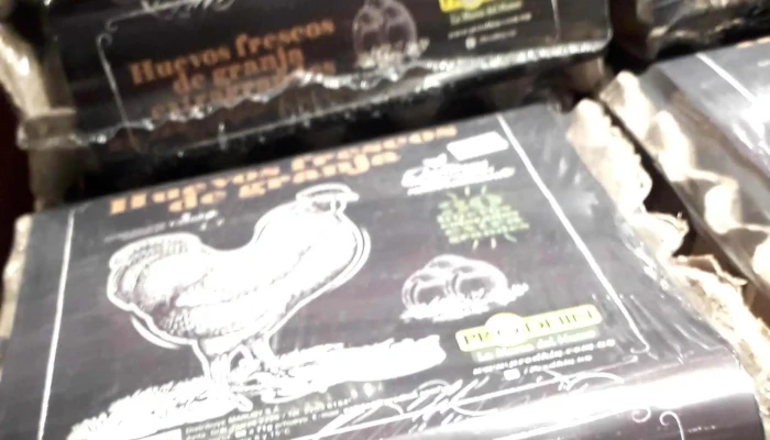 Devoto -  Comentario 7 - Montevideo