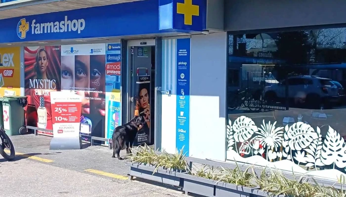 Devoto -  Comentario 7 - Montevideo