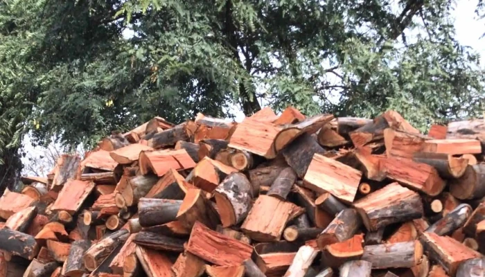 Devoto Fresh Market Agraciada -  Puntaje - Montevideo