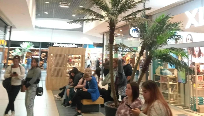 Devoto Fresh Market -  Comentario 2 - Montevideo