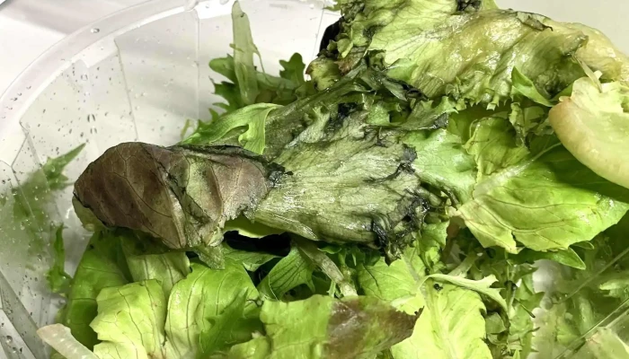 Devoto Fresh Market Comentario 5 - Montevideo