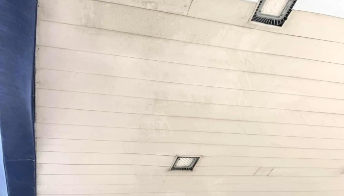 Devoto Sayago -  Comentario 3 - Montevideo