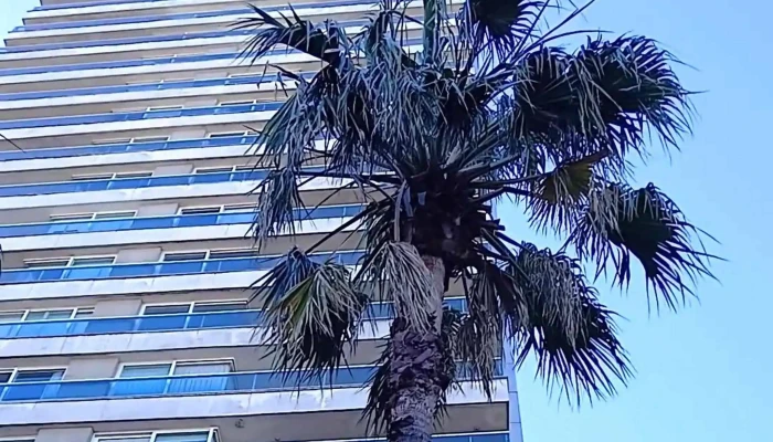 Diamantis Plaza -  Sitio Web - Montevideo