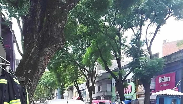 Diego Centro Mayorista -  Sitio Web - Montevideo