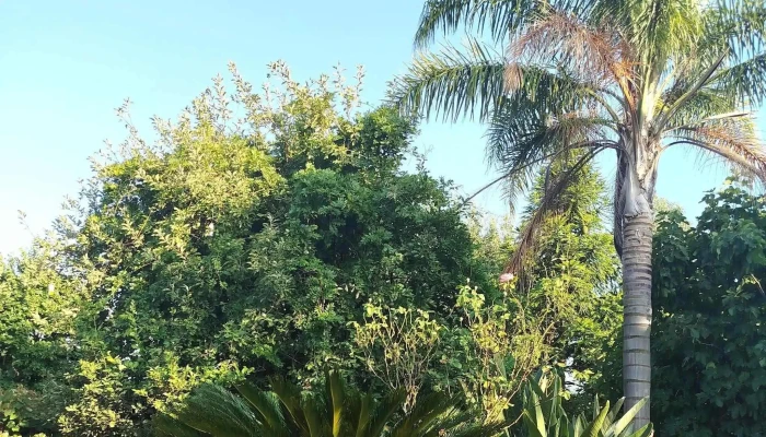 Diego Perdomo Negocios Inmobiliarios -    Sucursal San Jose De Mayo Departamental - Departamental