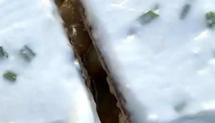 Dilema Cafe Restobar Videos - Montevideo