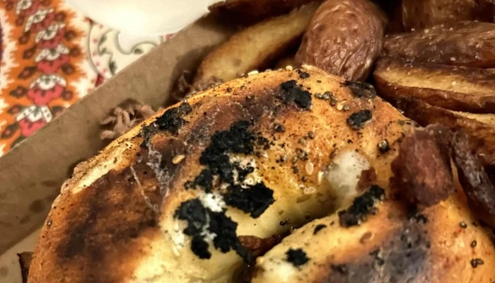 Dino -  Comentario 3 - Punta del Este