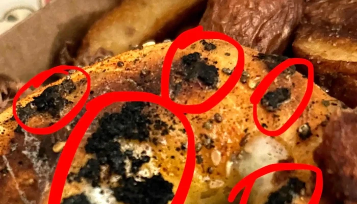 Dino -  Comentario 4 - Punta del Este