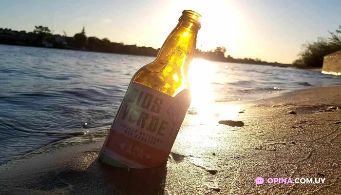 Dios Verde Beer -  Del Propietario - Mercedes