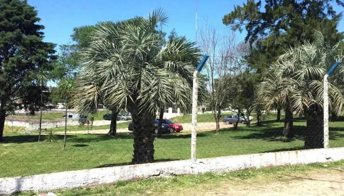 Direccion Nacional De La Educacion Policial Abierto Ahora - Montevideo