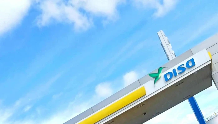 Disa -  Comentario 1 - Durazno