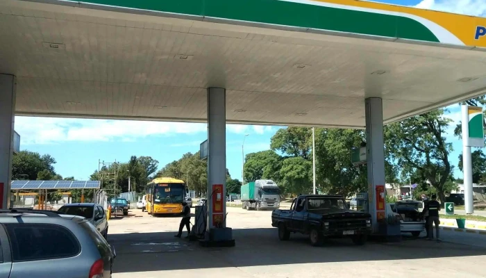 Disa -  Comentario 3 - Santa Lucía