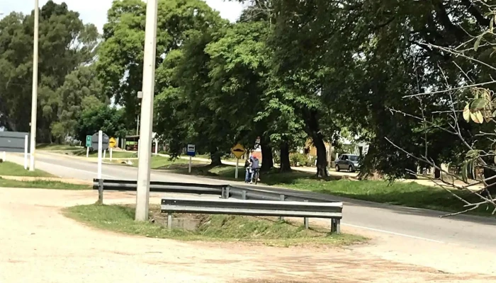 Disa -  Comentario 5 - Santa Lucía