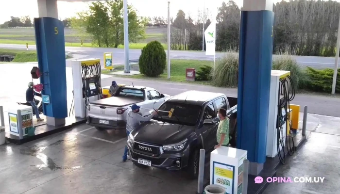 Disa Dolores -  Videos - Chacras de Dolores