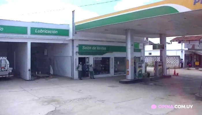 Disa -  Estacion De Servicio - Rafael Perazza