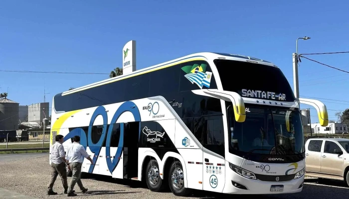 Disa -  Recientes - Young