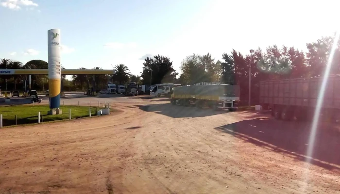 Disa Sauce -  Comentario 4 - Sauce