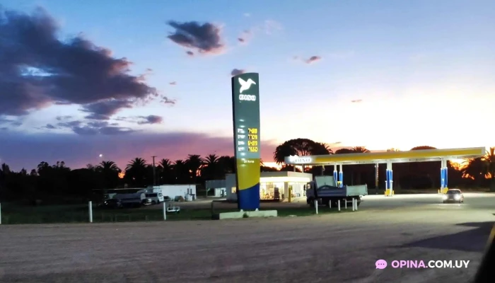 Disa Sauce -  Estacion De Servicio - Sauce