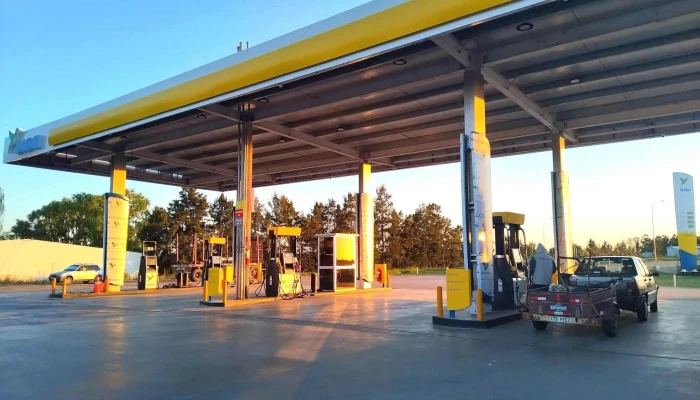 Disa Sauce -  Todo - Sauce