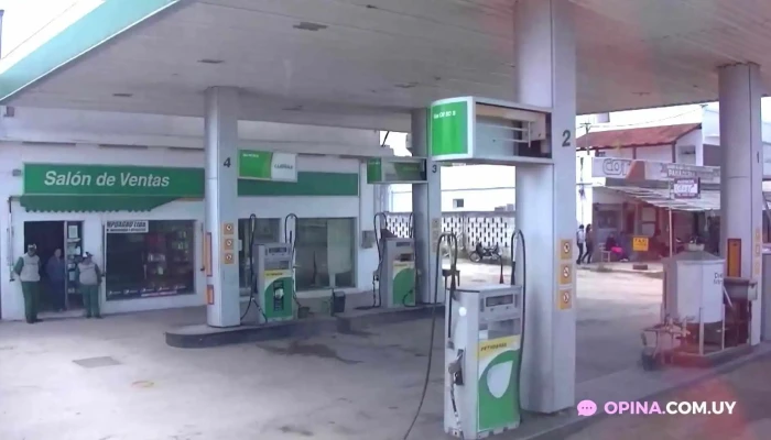 Disa -  Surtidor De Combustible - Rafael Perazza