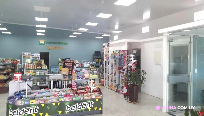 Disa -  Todo - Rafael Perazza