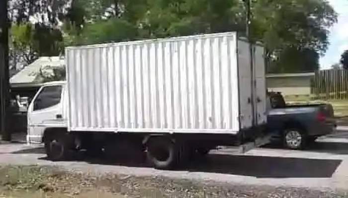 Disa -  Videos - Durazno