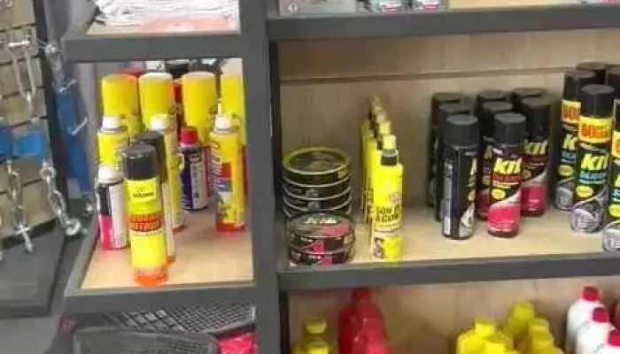 Disa -  Videos - San Ram&oacute;n