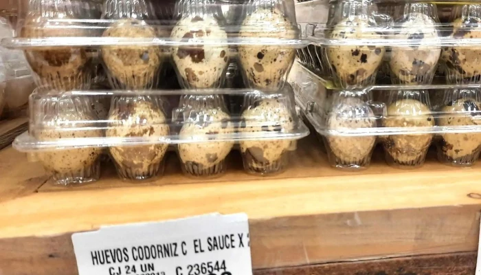 Disco Barrios Amorin Comentario 4 - Montevideo