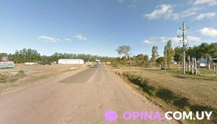 Distribuidora Alberti Hermanos - 50000 Salto