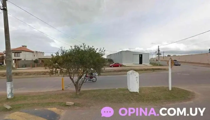 Distribuidora Mafe - Wilson Ferreira Aldunate