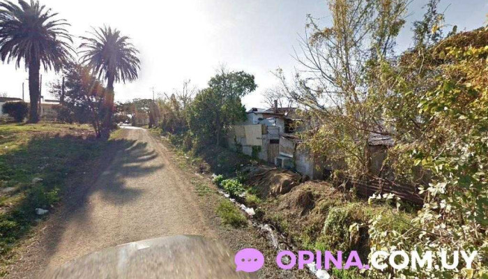 Distrinca S.r.l. - 11700 Montevideo