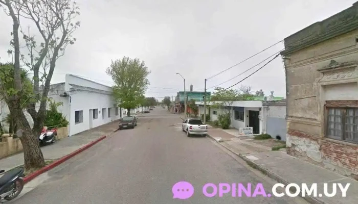 Diva's Studio - 20300 Pan De Azúcar