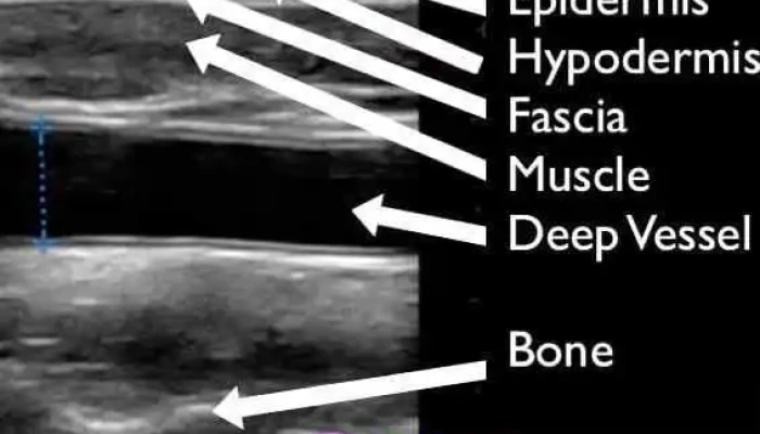 Doctora Rosina Mangarelli -  Del Propietario - Montevideo
