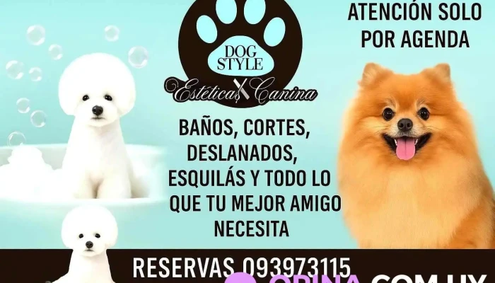 DogStyle - 97000 Durazno