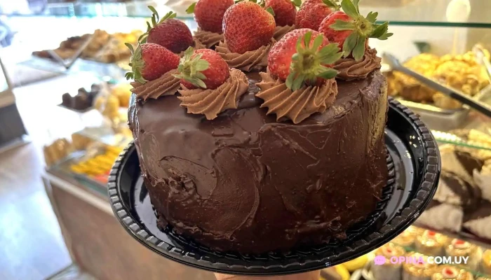 Dolce Vita -  Pastel - Montevideo