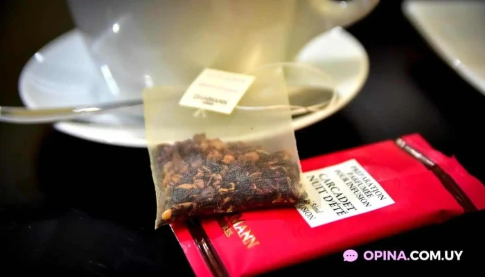 Dolcezza Gelateria -  Del Propietario - Salto