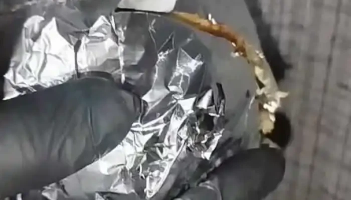 Domiburguers Videos - Montevideo